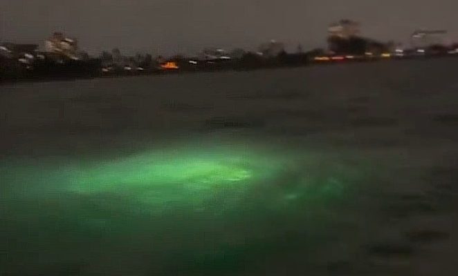 USO Sighting Florida 2023