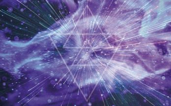 AVA Newsletter Kolumne Dezember 2025