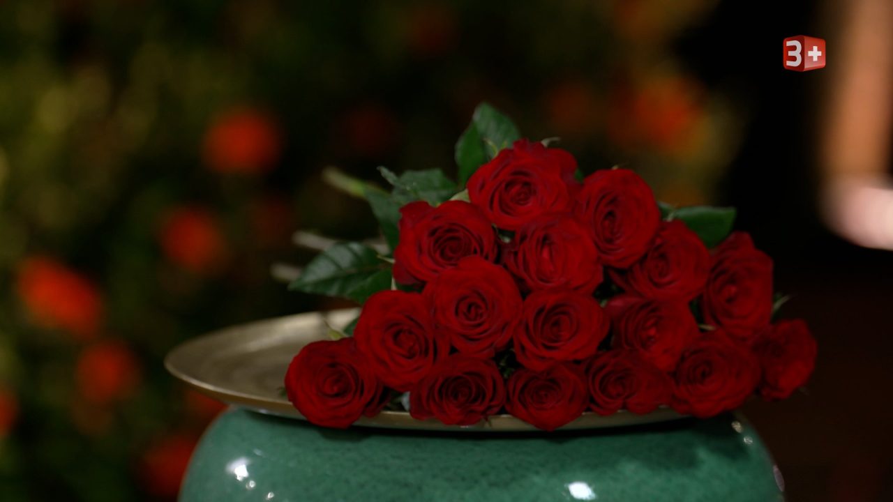 Bachelor Schweiz 2025 2. Folge