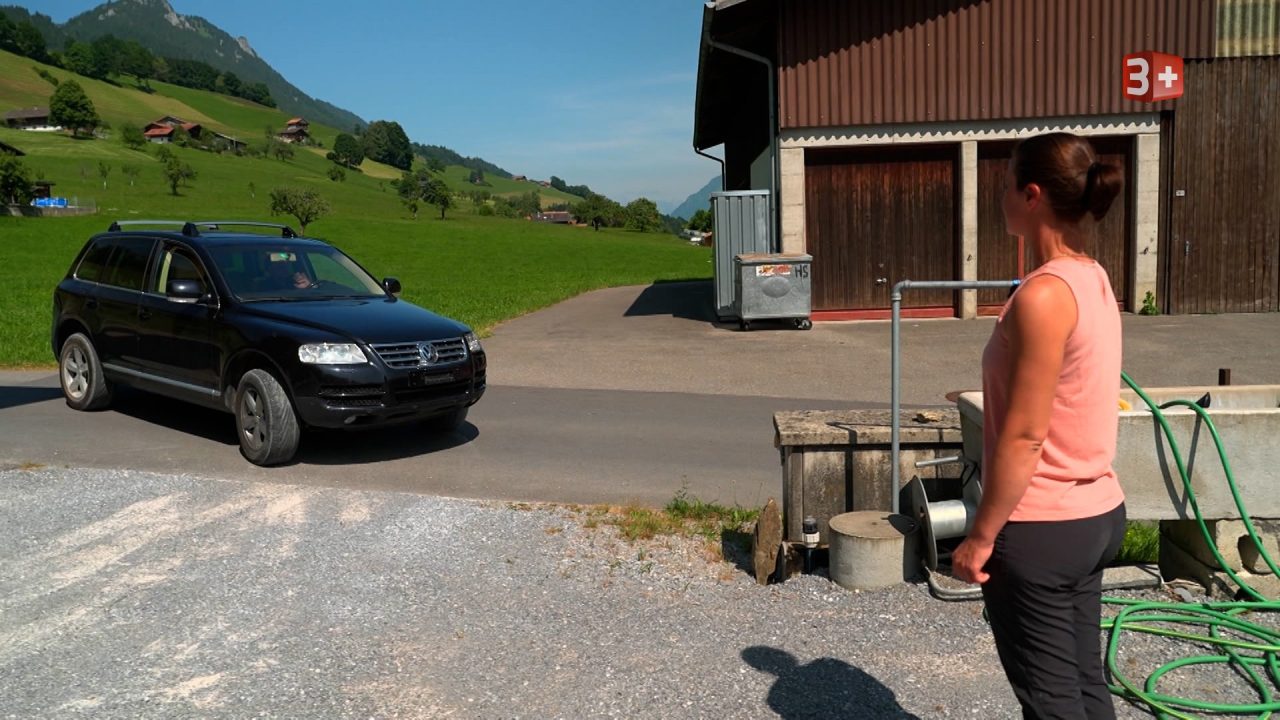 Bauer ledig sucht 2025 Folge 12