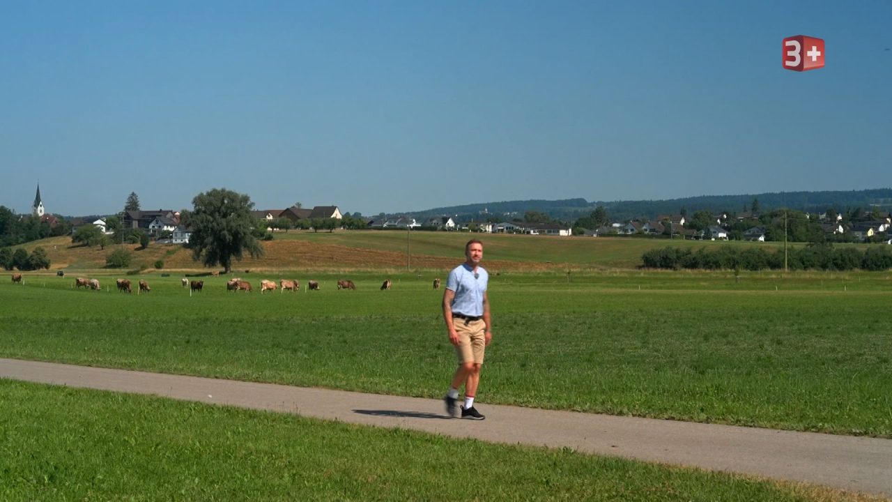 Bauer ledig sucht Schweiz 2025 Folge 14