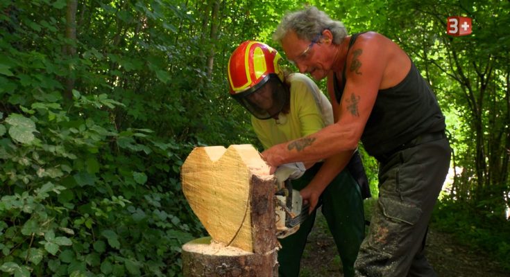 Bauer ledig sucht Schweiz 2025 Folge 14