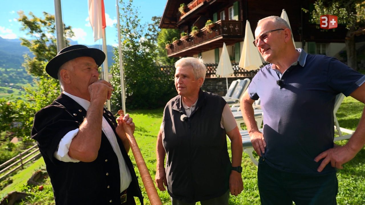 Bauer ledig sucht 2025 Folge 17