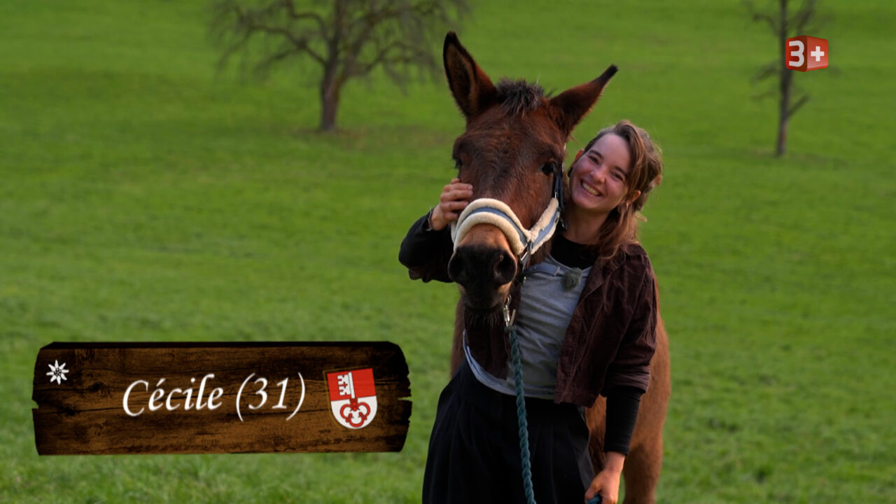 Bauer ledig sucht 2025