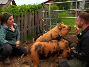 Bauer ledig sucht 2025 - Folge 3 - Schweinische Spiele