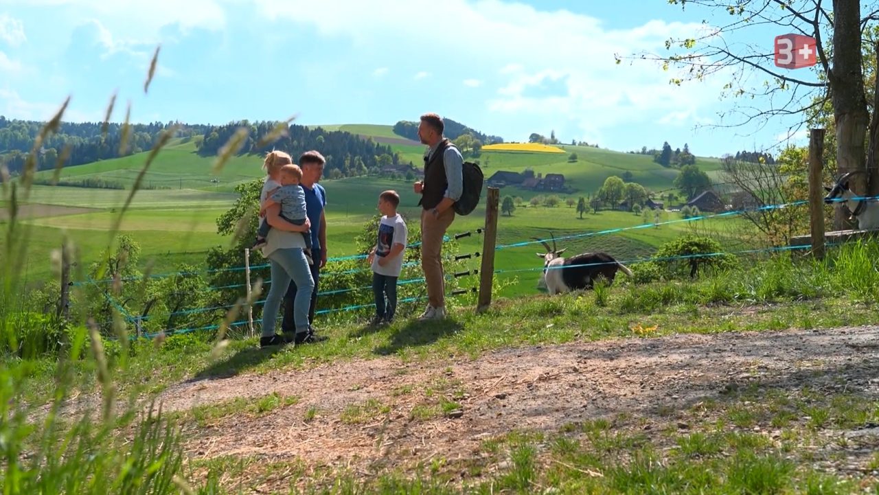 Bauer ledig sucht Geissen-Peter cc-3plus