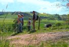 Bauer ledig sucht Geissen-Peter cc-3plus
