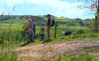 Bauer ledig sucht Geissen-Peter cc-3plus
