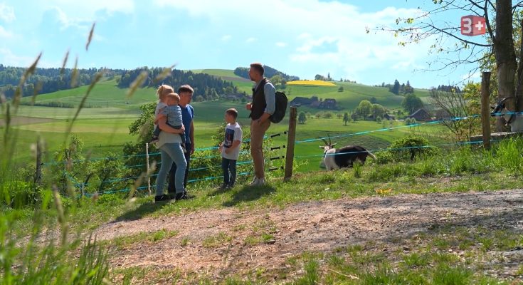 Bauer ledig sucht Geissen-Peter cc-3plus