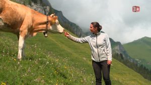 Priska Bauer Ledig Sucht 2025 Staffel 21