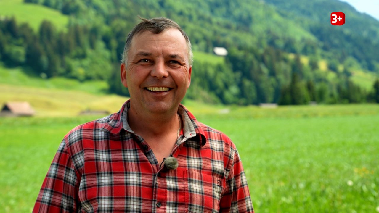 Bauer ledig sucht 2026 Folge 11