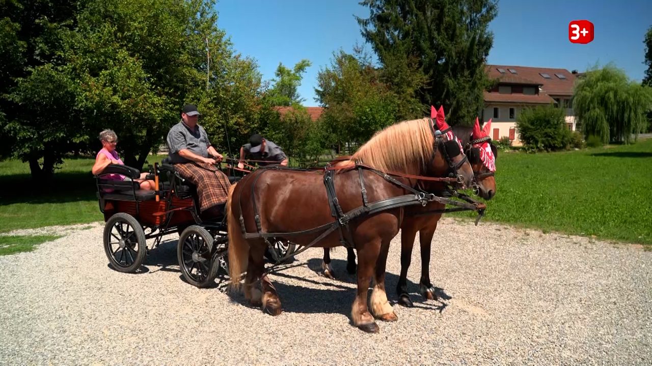 Bauer ledig sucht 2026 Folge 9