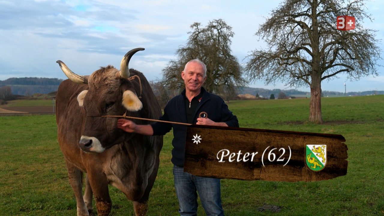 Bauer ledig sucht 2026