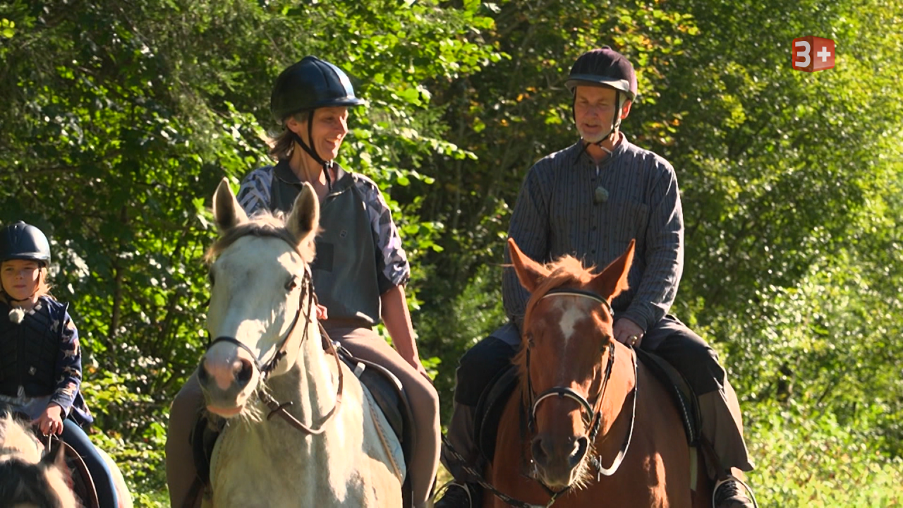 Bauer ledig sucht Schweiz 2025