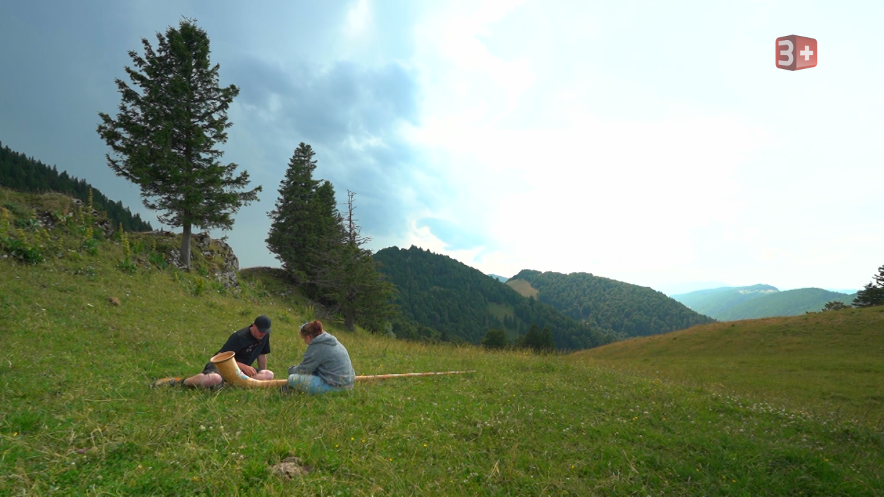 Bauer ledig sucht Schweiz 2025