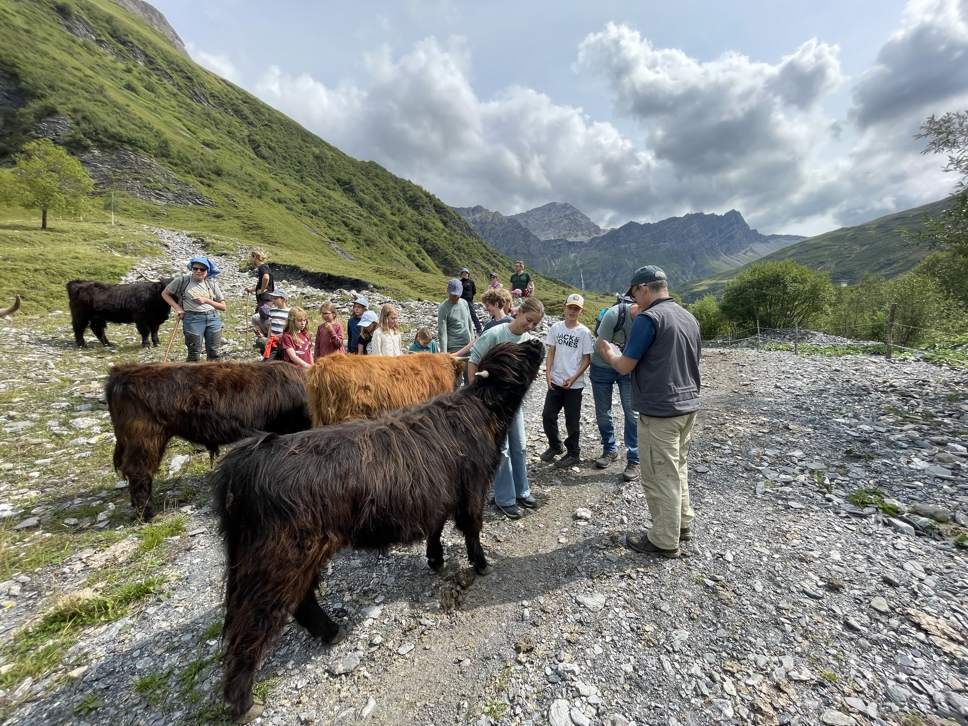 Bergwaldprojekt Sommerferien 2026
