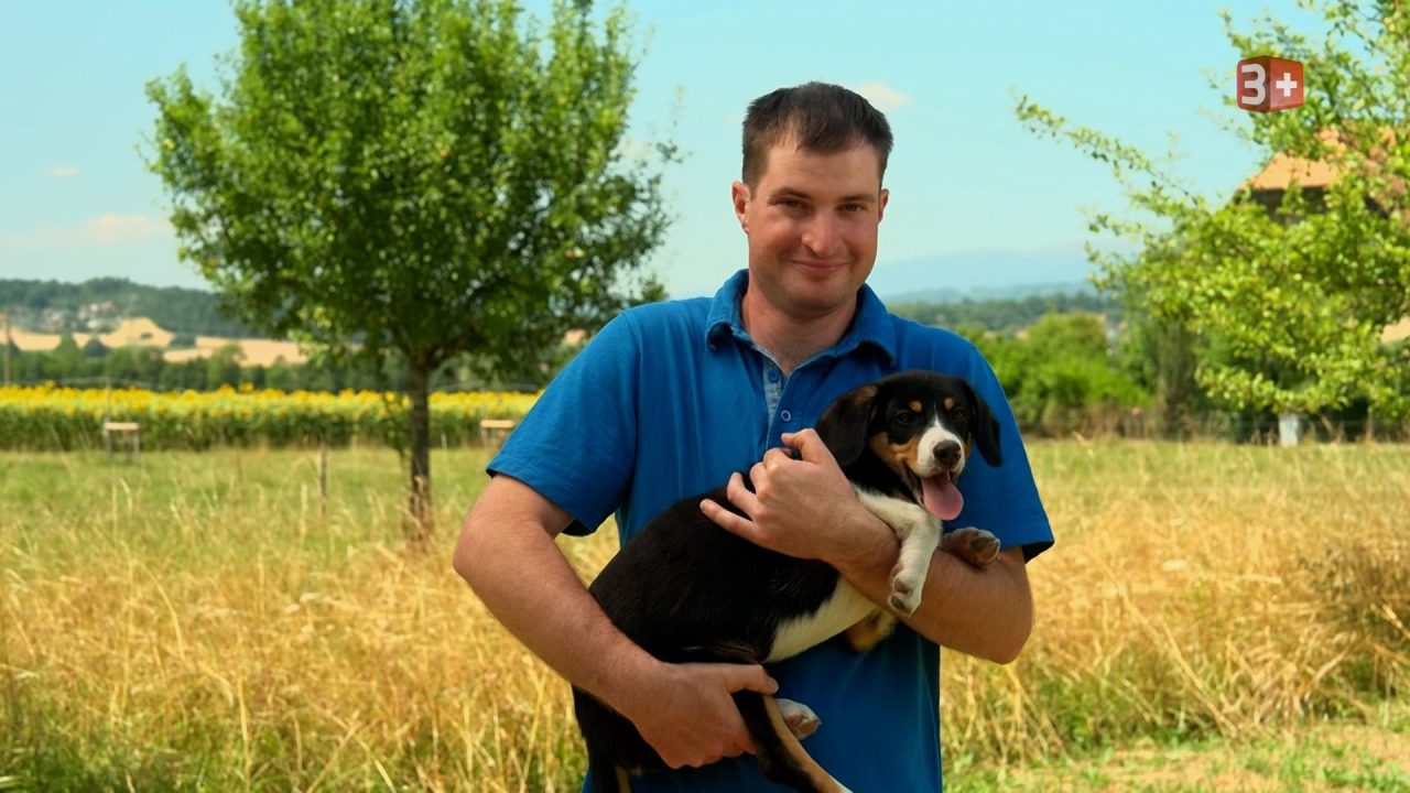 Bauer ledig sucht 2025 neue Staffel 21