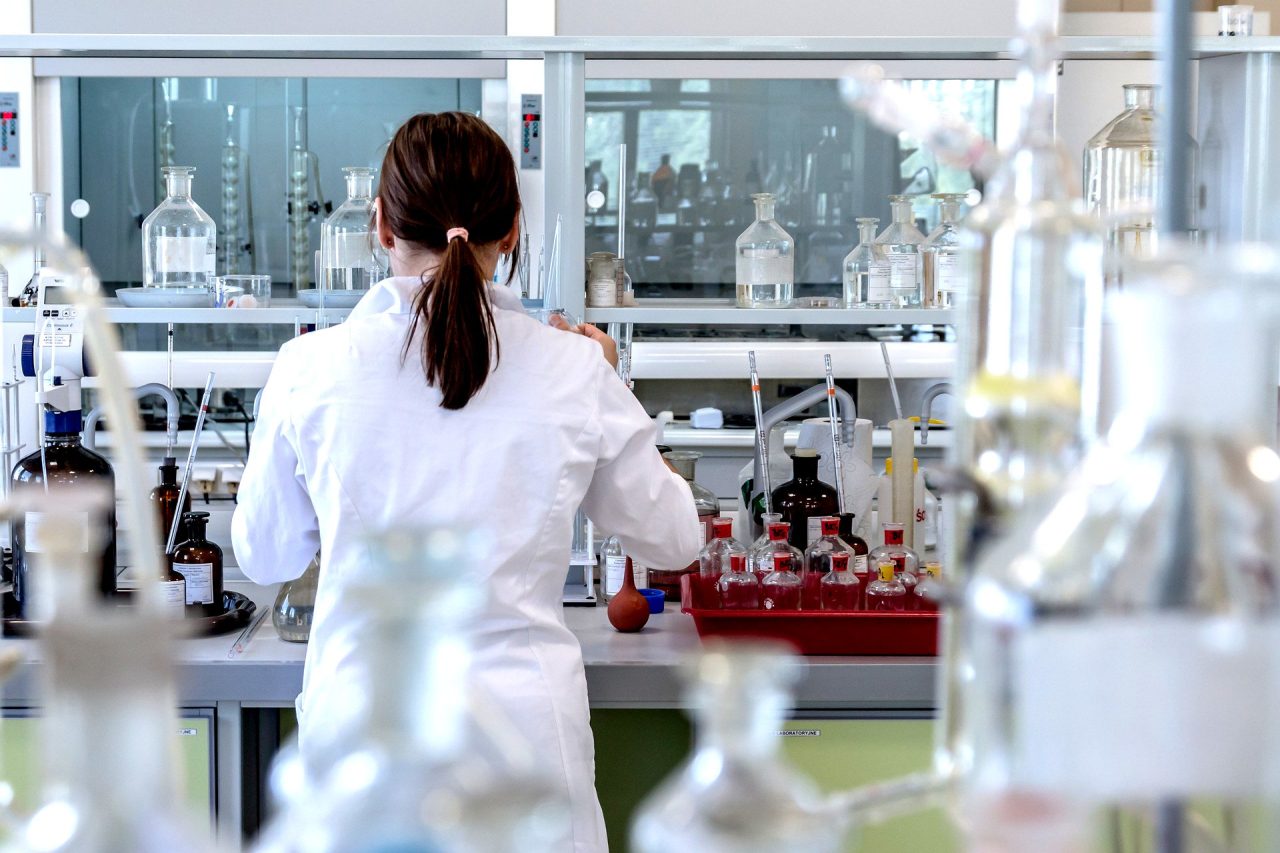 BIP 2024 steigt auch dank Pharma und IT