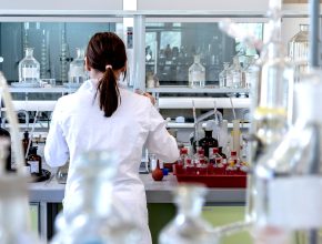 BIP 2024 steigt auch dank Pharma und IT