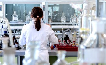 BIP 2024 steigt auch dank Pharma und IT