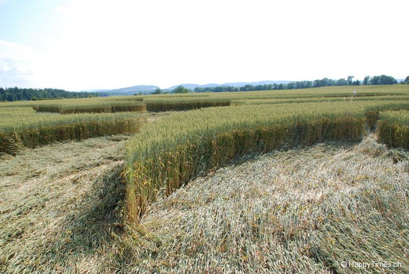 Kornkreis Rheinau Benken