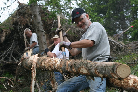 Bergwaldprojekt_Kaefervorbeugung001