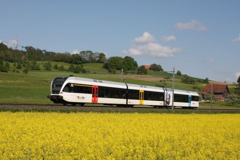Bild_ThurboAG-RapsfeldElgg_CD300-17507