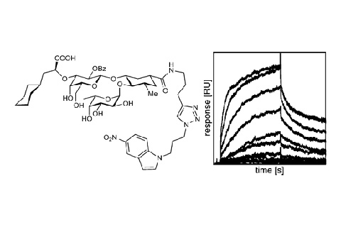 Uni Basel Entzündungen besser behandeln