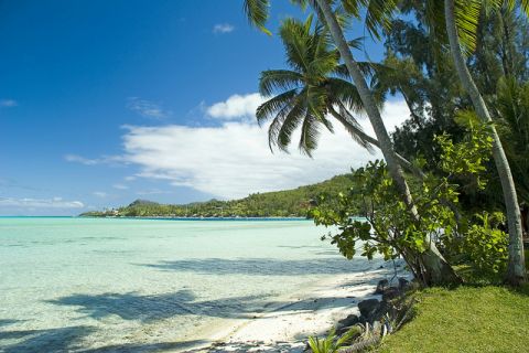 honolulu-sprachreisen-002