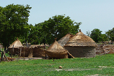 Morija Landwirtschaft