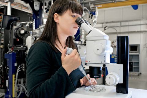 psi-zellfasern-hindern-krebszellen-am-teilen-001